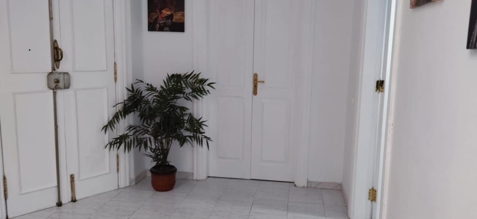 Suite Tati Las Palmas de Gran Canaria Dış mekan fotoğraf